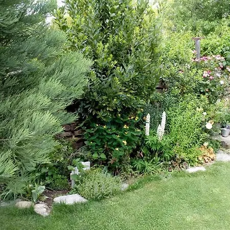 Nyaraló Casa Pirineos Ambos Ulle